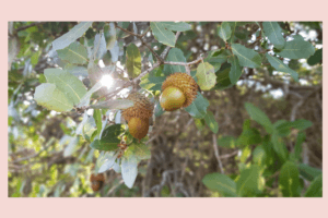 חנוך לנער על פי דרכו